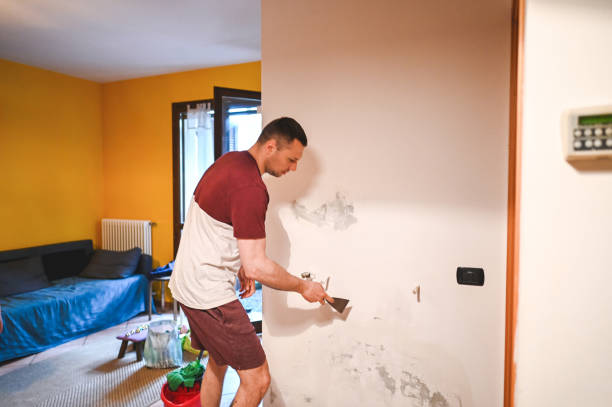 Best Mold Testing and Inspection Services in Brookings, OR